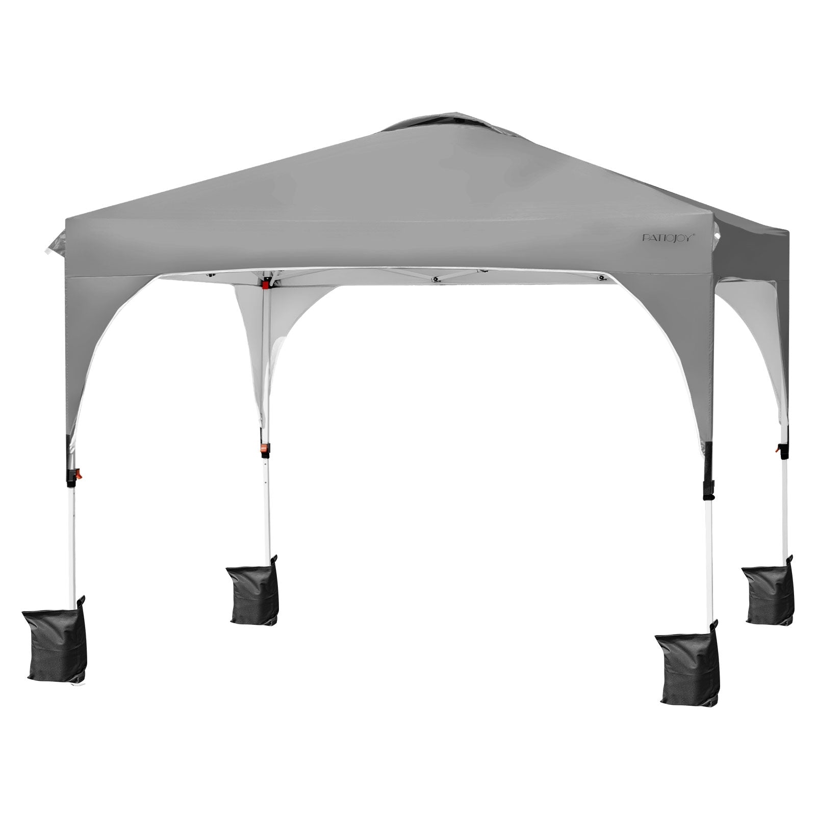 10 Feet x 10 Feet Outdoor Popup Camping Canopy Tent with Roller BagG