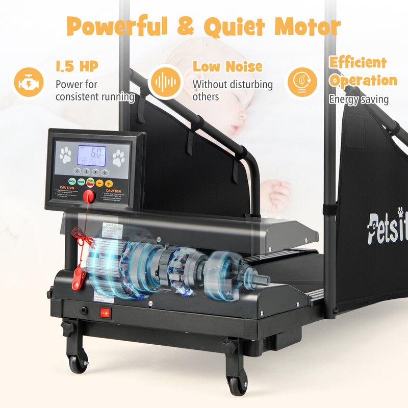 Pet Exercise Equipment with Remote Control