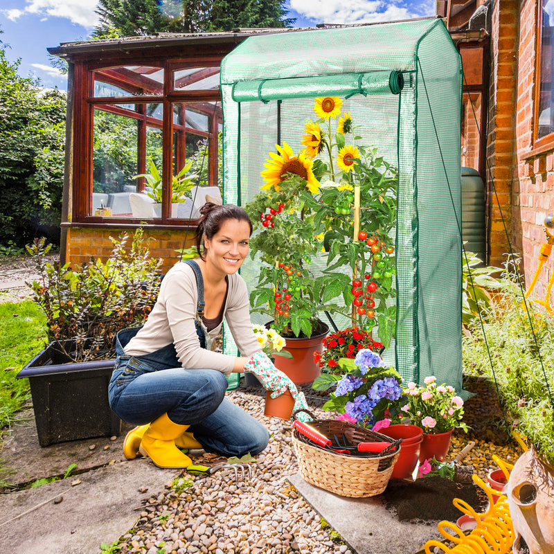 hot house tomato plants Walk-in Garden Greenhouse Hot House Tomato Plant Warm House