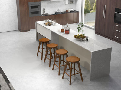 2 Set of 24.5 Inch Counter Height Bar Stool with Rubber Wood Frame