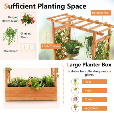 Raised Garden Bed with Trellis or Climbing Plant and Pot Hanging-Natural