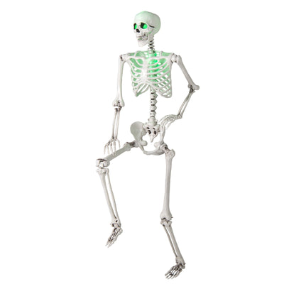 5.5 FT Halloween Skeleton Life-Size Posable for Indoor Outdoor Decoration