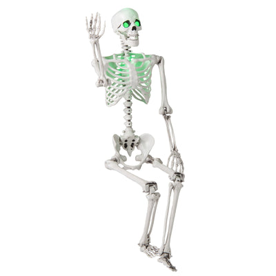 5.5 FT Halloween Skeleton Life-Size Posable for Indoor Outdoor Decoration