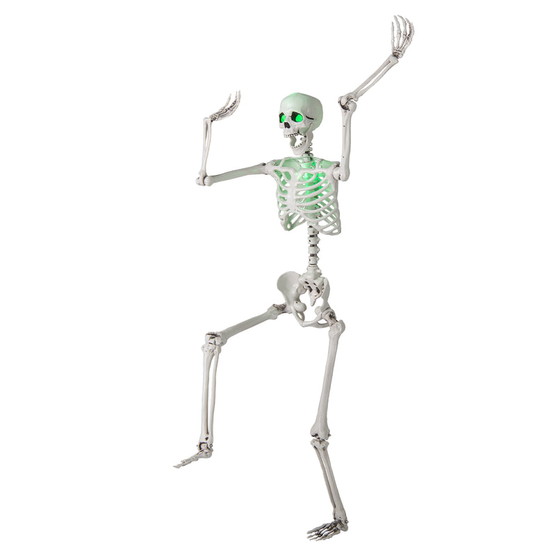 5.5 FT Halloween Skeleton Life-Size Posable for Indoor Outdoor Decoration