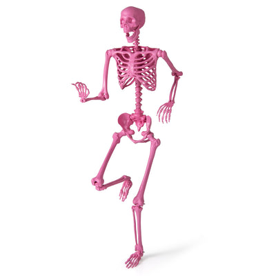 5.5 FT Life-Size Halloween Poseable Skeleton Pink Movable Joints