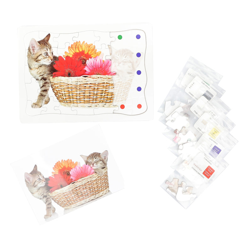 Bios - Memory Care Jigsaw Puzzle – Cute Kittens