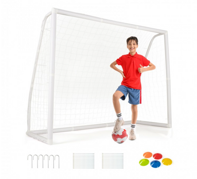 8' x 6' Soccer Goal with Ground Stakes and Soccer Cones