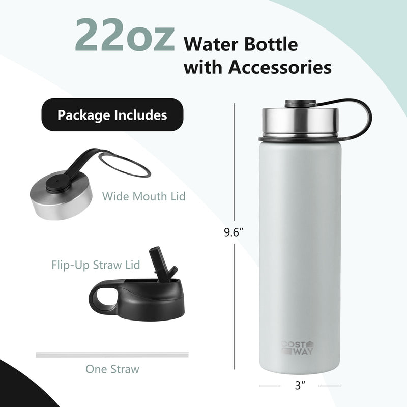 *22 Oz Double-walled Insulated Stainless Steel Water Bottle with 2 Lids and Straw - Gray