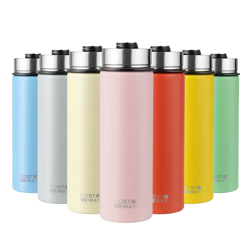 *22 Oz Double-walled Insulated Stainless Steel Water Bottle with 2 Lids and Straw - Gray