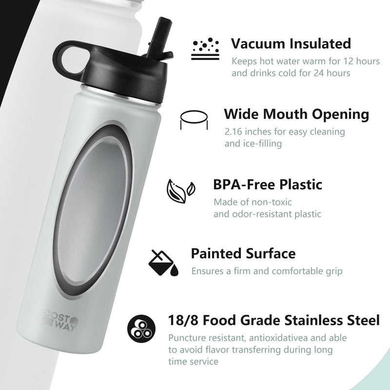 *22 Oz Double-walled Insulated Stainless Steel Water Bottle with 2 Lids and Straw - Gray