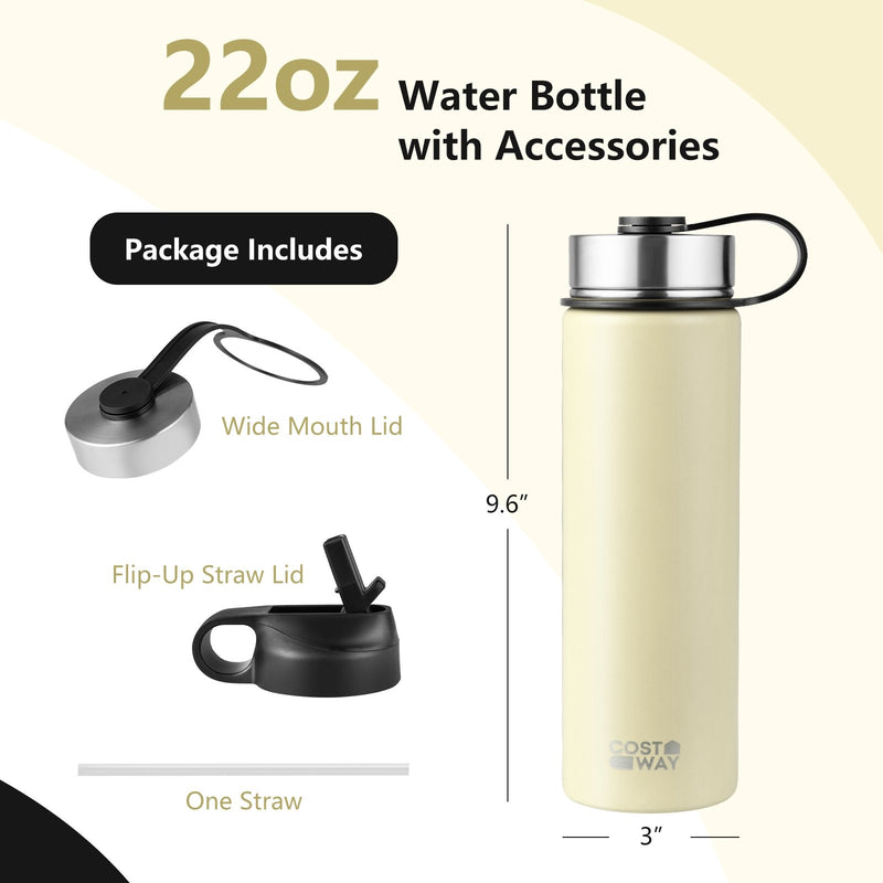 *22 Oz Double-walled Insulated Stainless Steel Water Bottle with 2 Lids and Straw - Beige