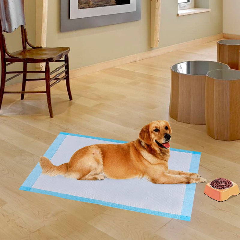 200 Pieces 24 x 24 Inch Pet Wee Pee Piddle Pad - Relaxacare