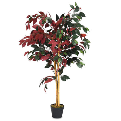 4-Feet Artificial Capensia Bush Indoor-Outdoor Leaves - Relaxacare