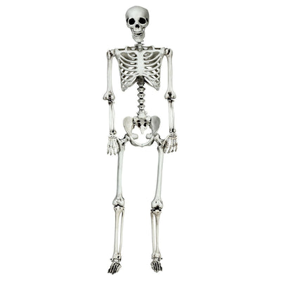 5.4 Feet Halloween Skeleton Life Size Realistic Full Body Hanging - Relaxacare