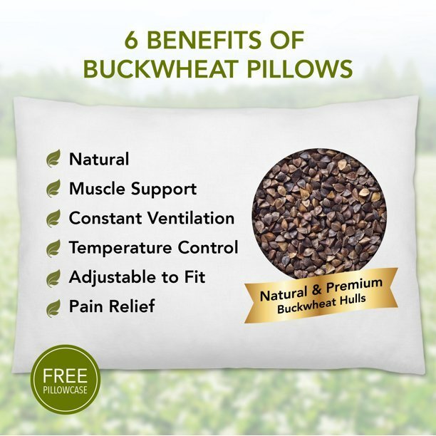 Daiwa - Buckwheat Pillow - Reduce Pain and Sleep Deeper and Better - Relaxacare
