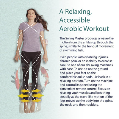 DAIWA - Original Chi Swing Machine Passive Aerobic Exerciser Swing Master - Relaxacare