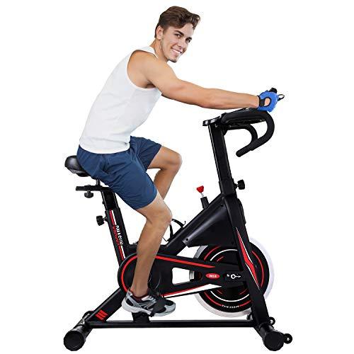 Dmasun Exercise Bike Model 8732