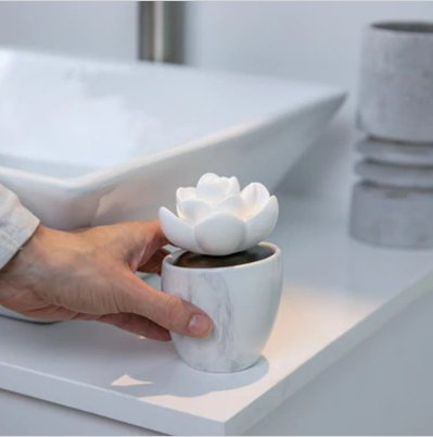 Ellia by HoMedics - Lotus Leaf Porcelain Aroma Diffuser - Relaxacare