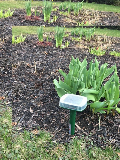 EnerG+ - Solar Pest Repeller EN656-2 - Relaxacare