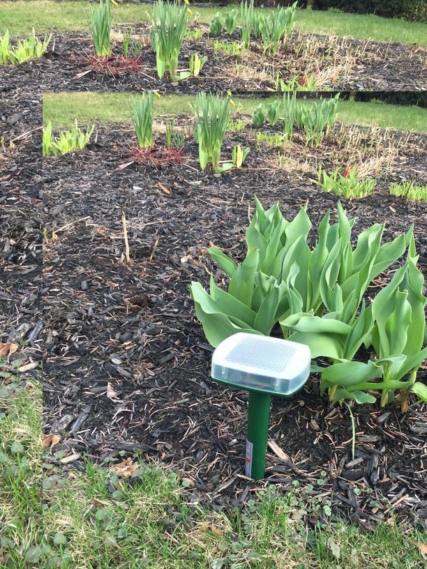 EnerG+ - Solar Pest Repeller EN656-2 - Relaxacare