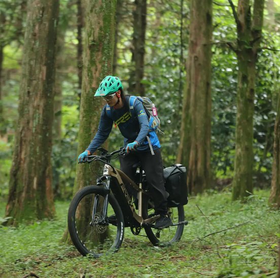 Frey Bike - Touring E-Bike - Bafang Rear Hub Motor - Range Up To 200kms - Relaxacare