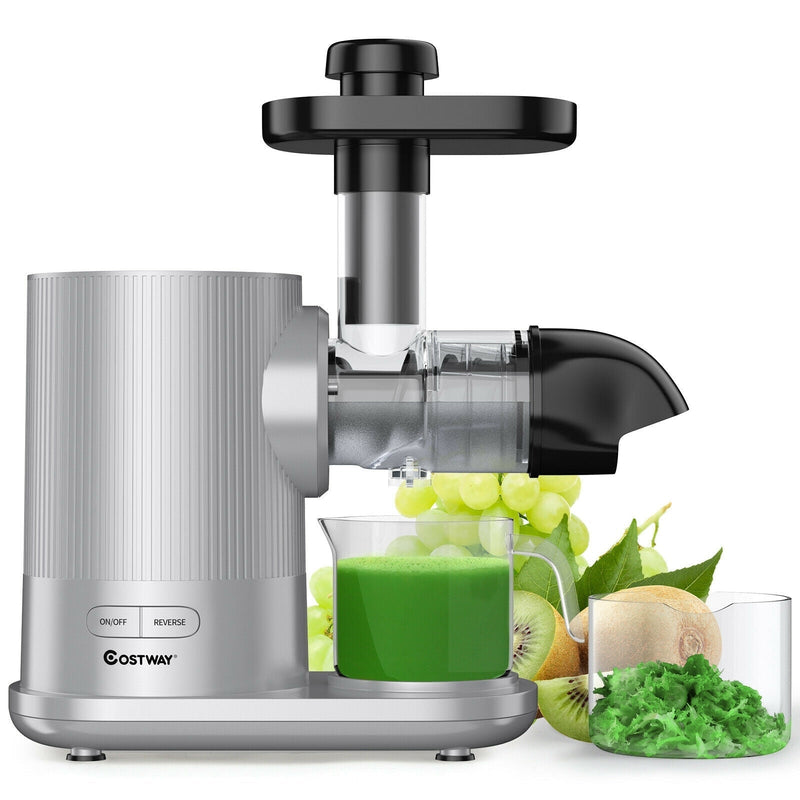Horizontal Slow Masticating Extractor Juicer with Brush-Silver - Relaxacare