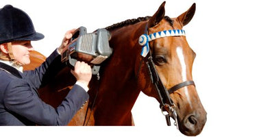 THUMPER Equine Pro Massager - Relaxacare