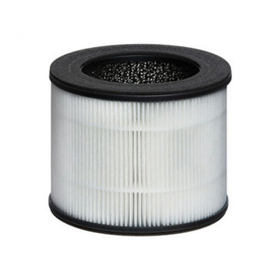 TOTALCLEAN by HoMedics - AP-T10 Replacement HEPA-Type Filter, AP-T10FL - Relaxacare